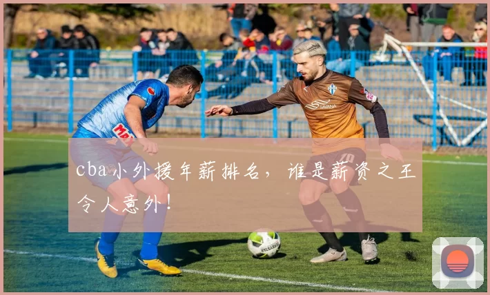 cba小外援年薪排名，谁是薪资之王令人意外！